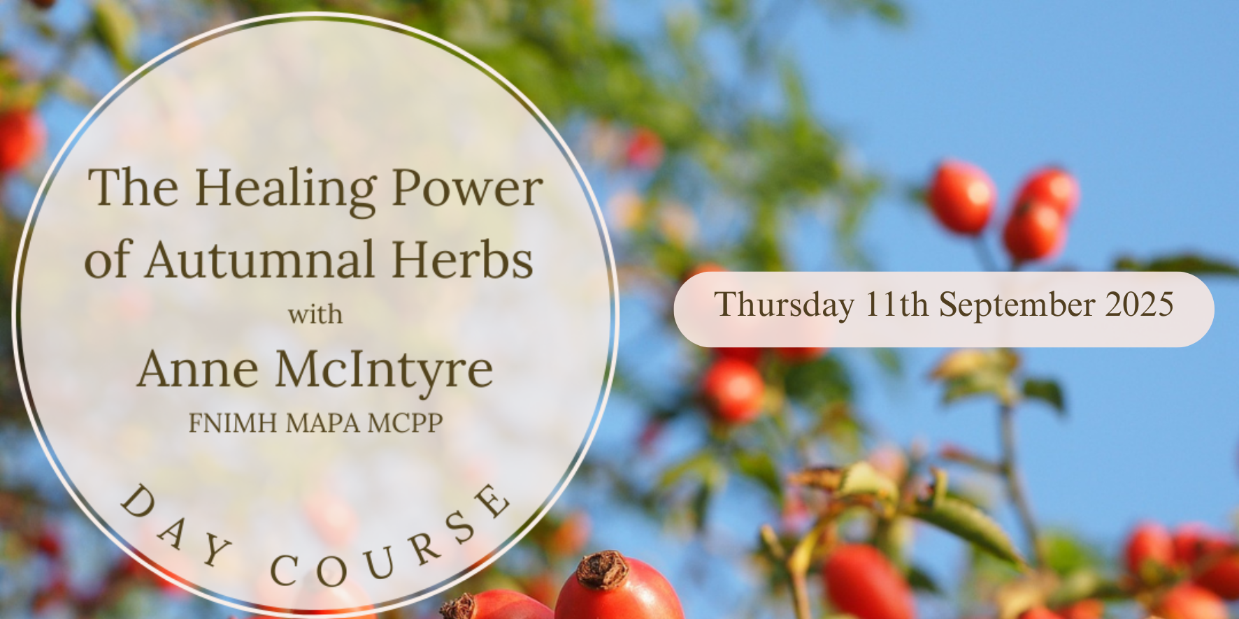 The Healing Power of Autumnal Herbs with Anne McIntyre